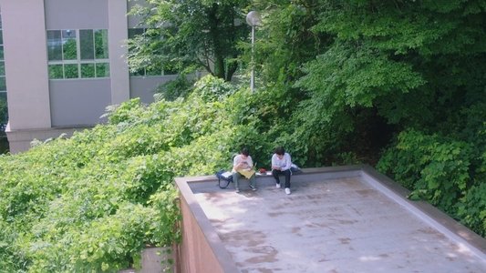 ひだまりが聴こえる