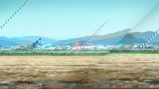 映画 聲の形