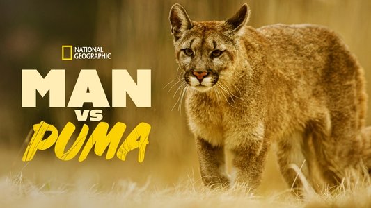 Man Vs. Puma