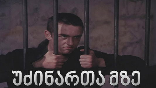 უძინართა მზე