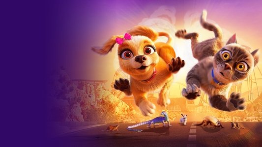 Gracie & Pedro: Pets to the Rescue