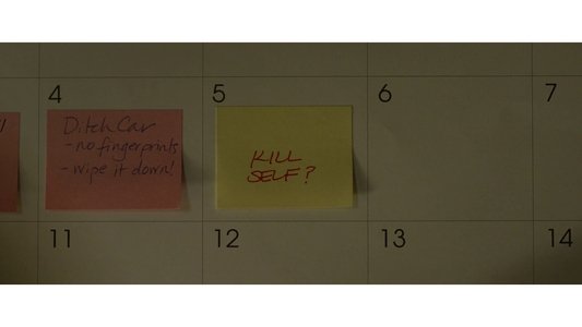 Gone Girl