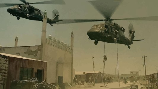 Black Hawk Down