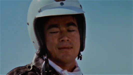 逆襲！殺人拳