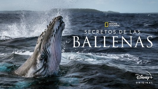 Secrets of the Whales