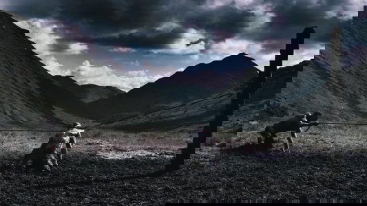 Valhalla Rising