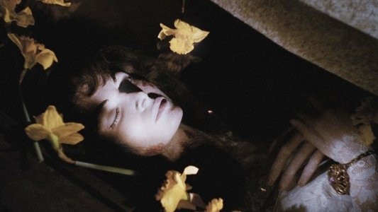 Il mulino delle donne di pietra