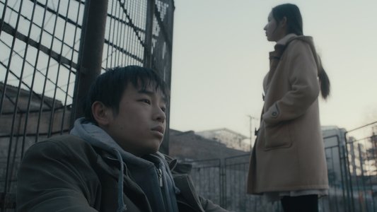 大象席地而坐