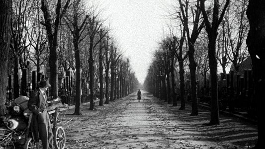 The Third Man