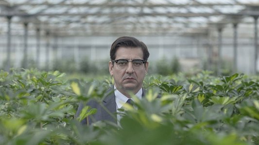 Οίκτος