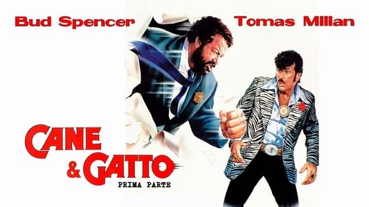 Cane e gatto