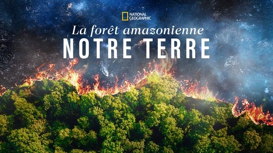 The Territory