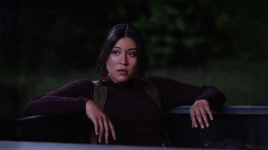 Echo