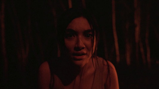 The Last Footage