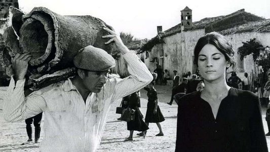 Una questione d'onore