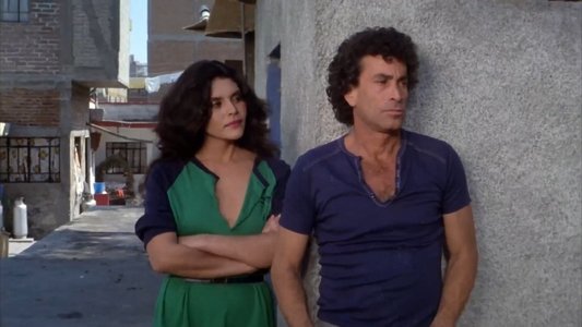 El Día de los Albañiles