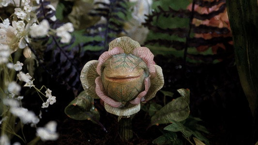 Little Shop of Horrors