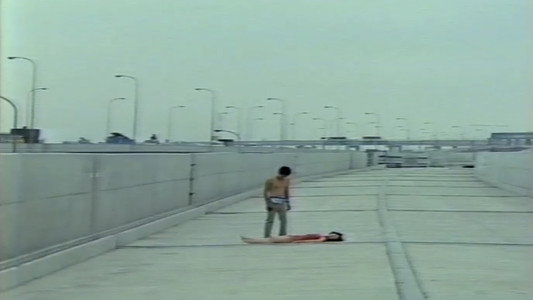 視姦白日夢