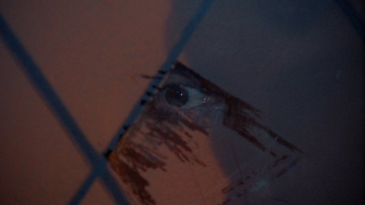 Nachts, wenn Dracula erwacht