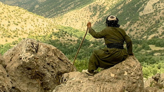 کوێستانی سپی