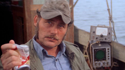 Jaws