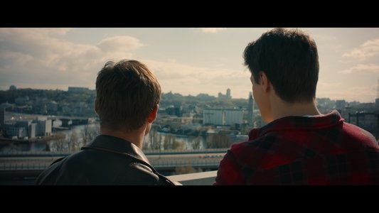 Гуси кохання