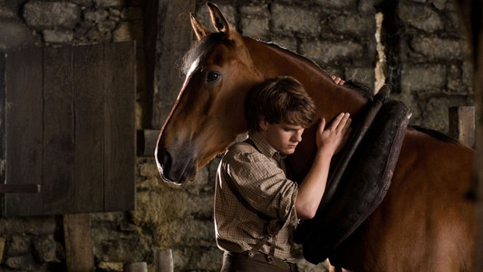 War Horse