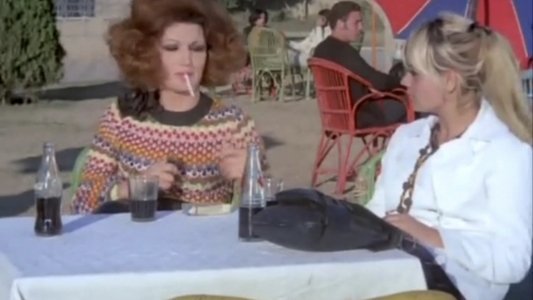 المطلقات