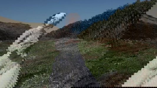 零へ