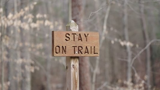 #17 - To Finish The Barkley Marathons