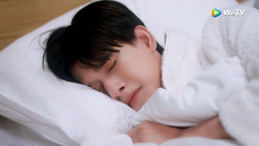 โปตัวปลอม