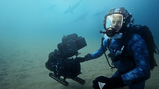 Sharks Up Close with Bertie Gregory