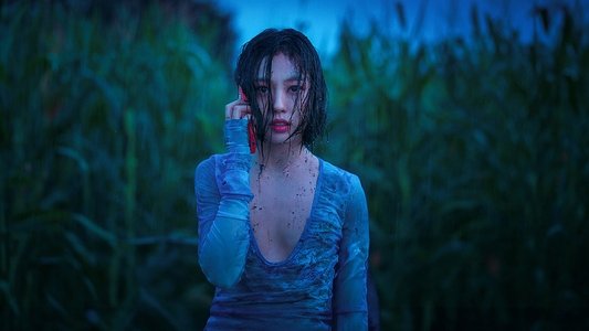아무도 없는 숲속에서