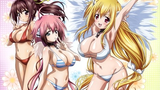 そらのおとしもの