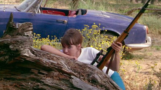 Pierrot le fou