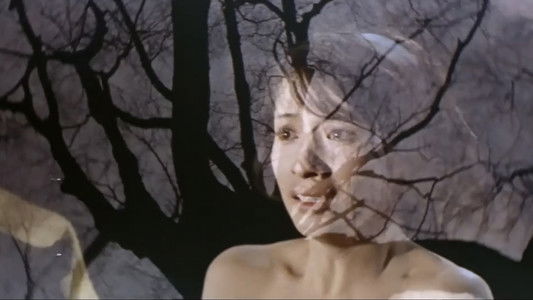 三人の女　夜の蝶