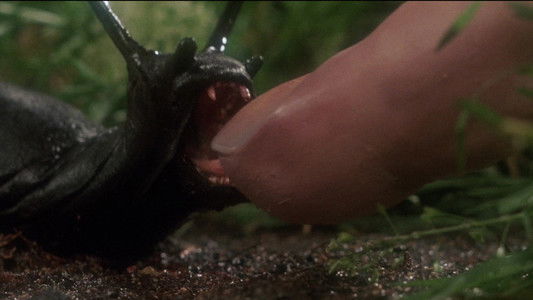 Slugs: muerte viscosa