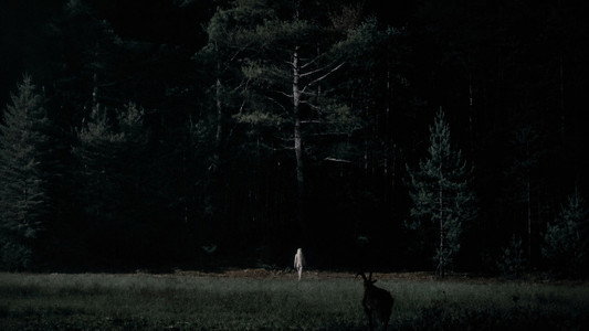 The Witch