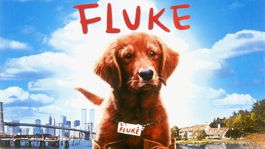 Fluke