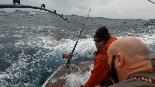 Wicked Tuna: Outer Banks Showdown