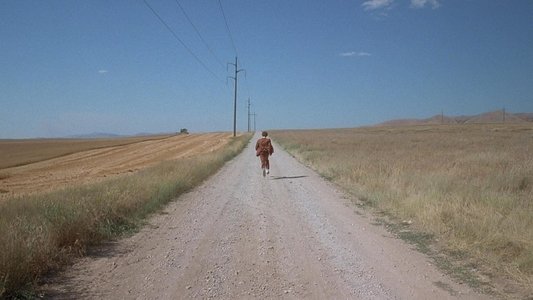 Napoleon Dynamite
