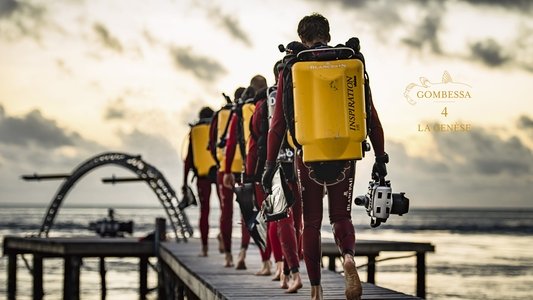700 requins dans la nuit  (Gombessa 4, la genèse)