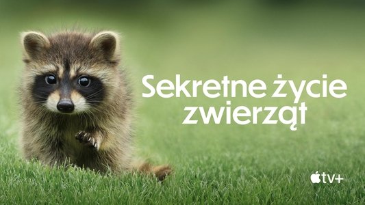 The Secret Lives of Animals