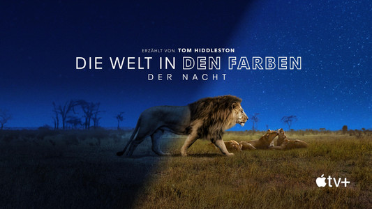 Earth at Night in Colour