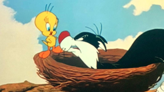 Tweet Tweet Tweety