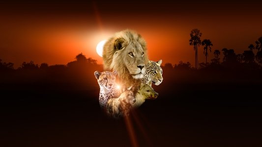 Savage Kingdom