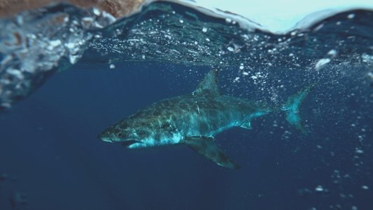 Big Pacific