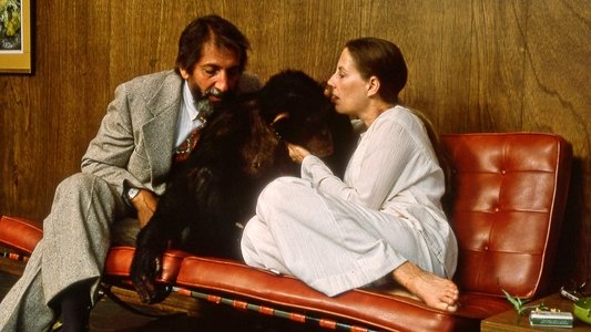 Lucy the Human Chimp