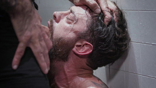 The Best of Alpha Wolfe