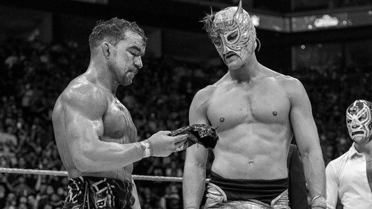 WWE Lucha Libre AAA World Wide